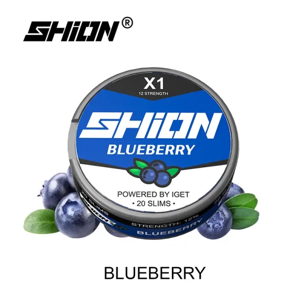 Blueberry Ice - IGET SHION X1 Nicotine Pouches / Nikotinbeutel 12mg