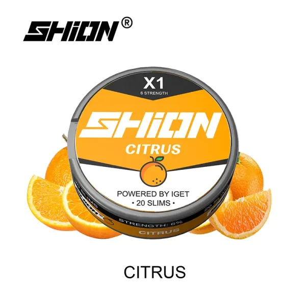 Citrus - IGET SHION X1 Nicotine Pouches / Nikotinbeutel 6mg