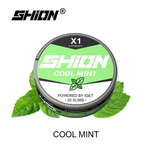 Cool Mint - IGET SHION X1 Nicotine Pouches/Nikotinbeutel 12mg