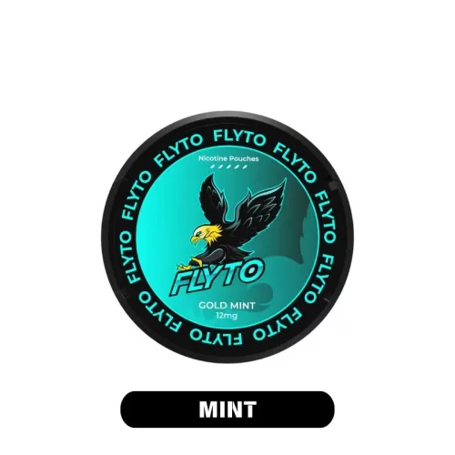 FLYTO Nicotine Pouch/ Nikotinbeutel 12mg - Mint