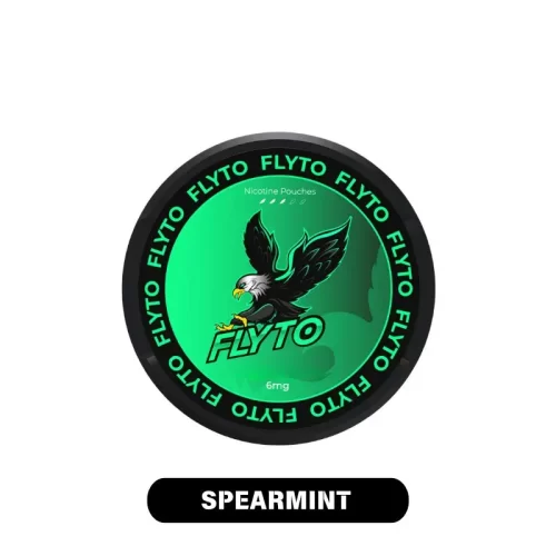 FLYTO Nicotine Pouch/ Nikotinbeutel 6mg - Spearmint