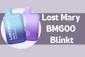 Lost Mary BM600 Blinkt? So Beheben Sie Es In Nur 5 Schritten!