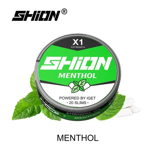 Menthol - IGET SHION X1 Nicotine Pouches / Nikotinbeutel 6mg