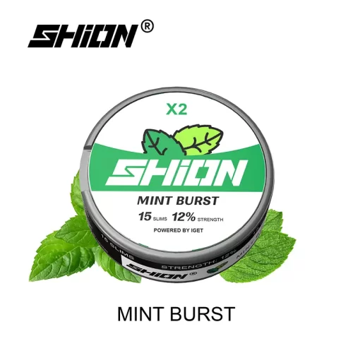 Mint Burst - IGET Shion X2 Nicotine Pouches/Nikotinbeutel 12mg