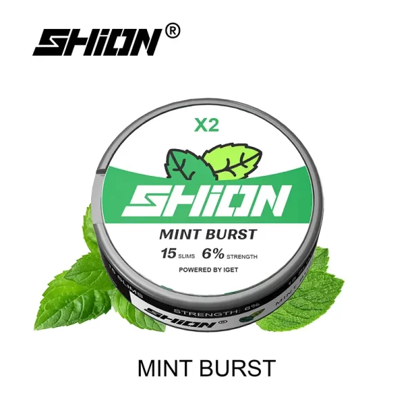 Mint Burst - IGET Shion X2 Nicotine Pouches/Nikotinbeutel 6mg